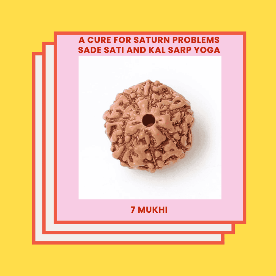 7 Mukhi Rudraksha - Power of 7 Mukhi Rudraksha: The Ultimate Guide